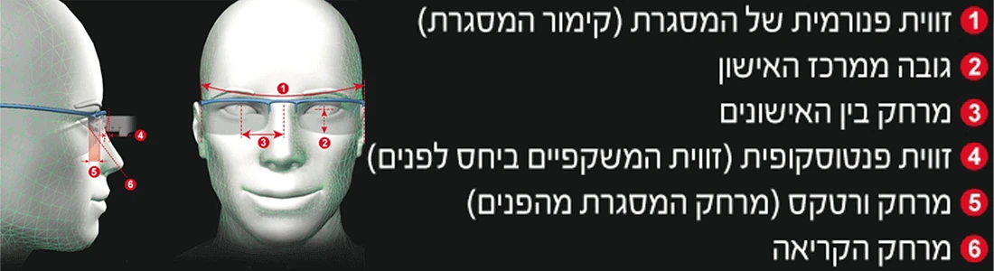 עדשות מולטיפוקל Rodenstock IMPRESSION VS LIFE FREE - מבחן שטח עדשות מולטיפוקל Rodenstock IMPRESSION VS LIFE FREE - מבחן שטח