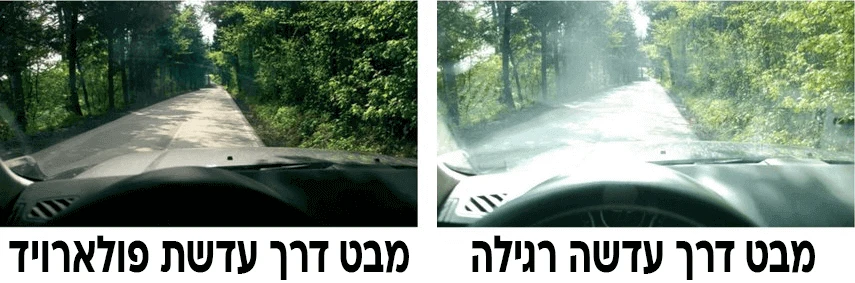 משקפי פולארויד - polarized