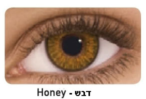 Honey - דבש