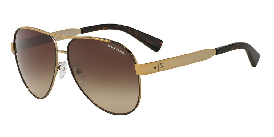 משקפי שמש ארמני אקסצ'יינג לנשים AX2018S חום, זהב טייסים